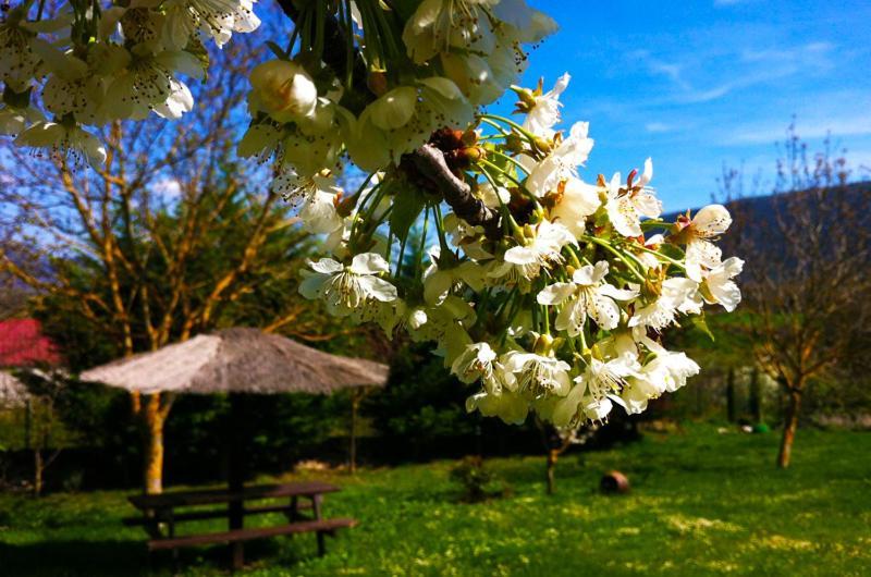 Arte Y Natura Valdivielso Quintana de Valdivielso Luaran gambar