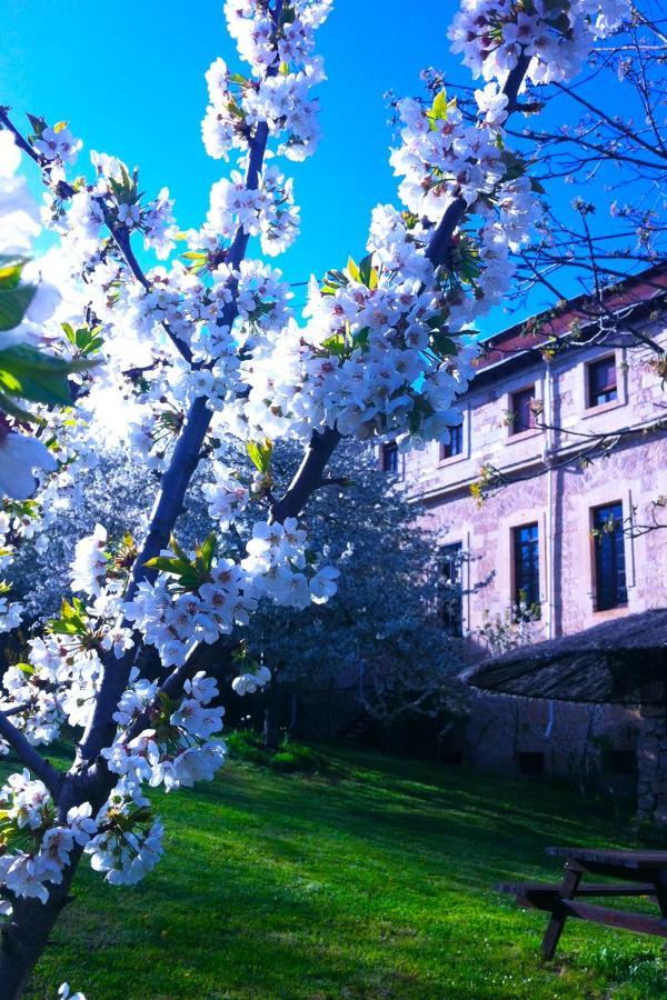 Arte Y Natura Valdivielso Quintana de Valdivielso Luaran gambar